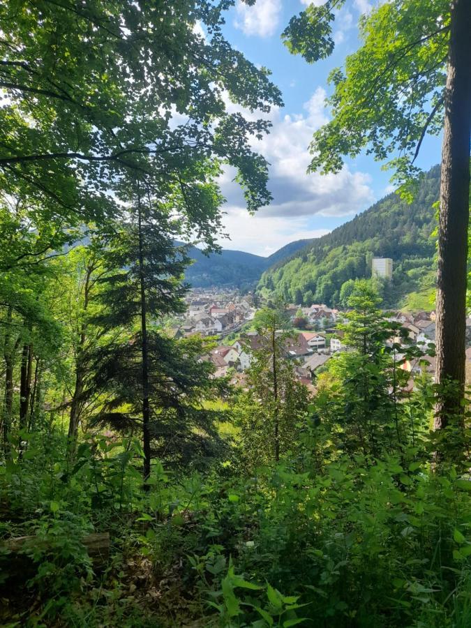 Ferienwohnung Am Enzufer Mit Balkon In Bad Wildbad Im Schwarzwald Dış mekan fotoğraf